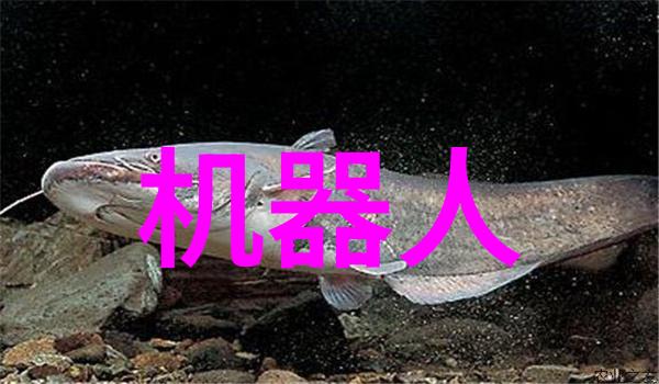 蒸汽与静谧板式蒸发器的双重面貌