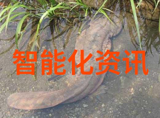 检测饮用水安全揭秘水质检测的科学方法与标准