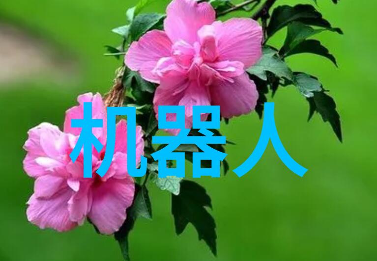热气腾腾的烤包艺术如何选择和使用烤包器