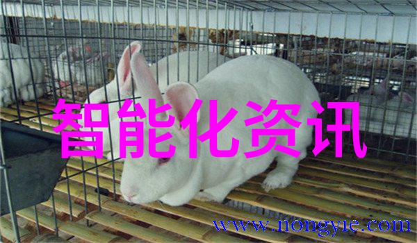 粉煤灰分选机-高效利用废旧资源的关键技术革新