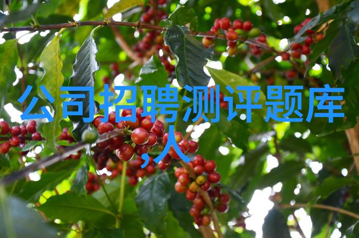 国家信息测试中心对提升国民数字素养有什么贡献