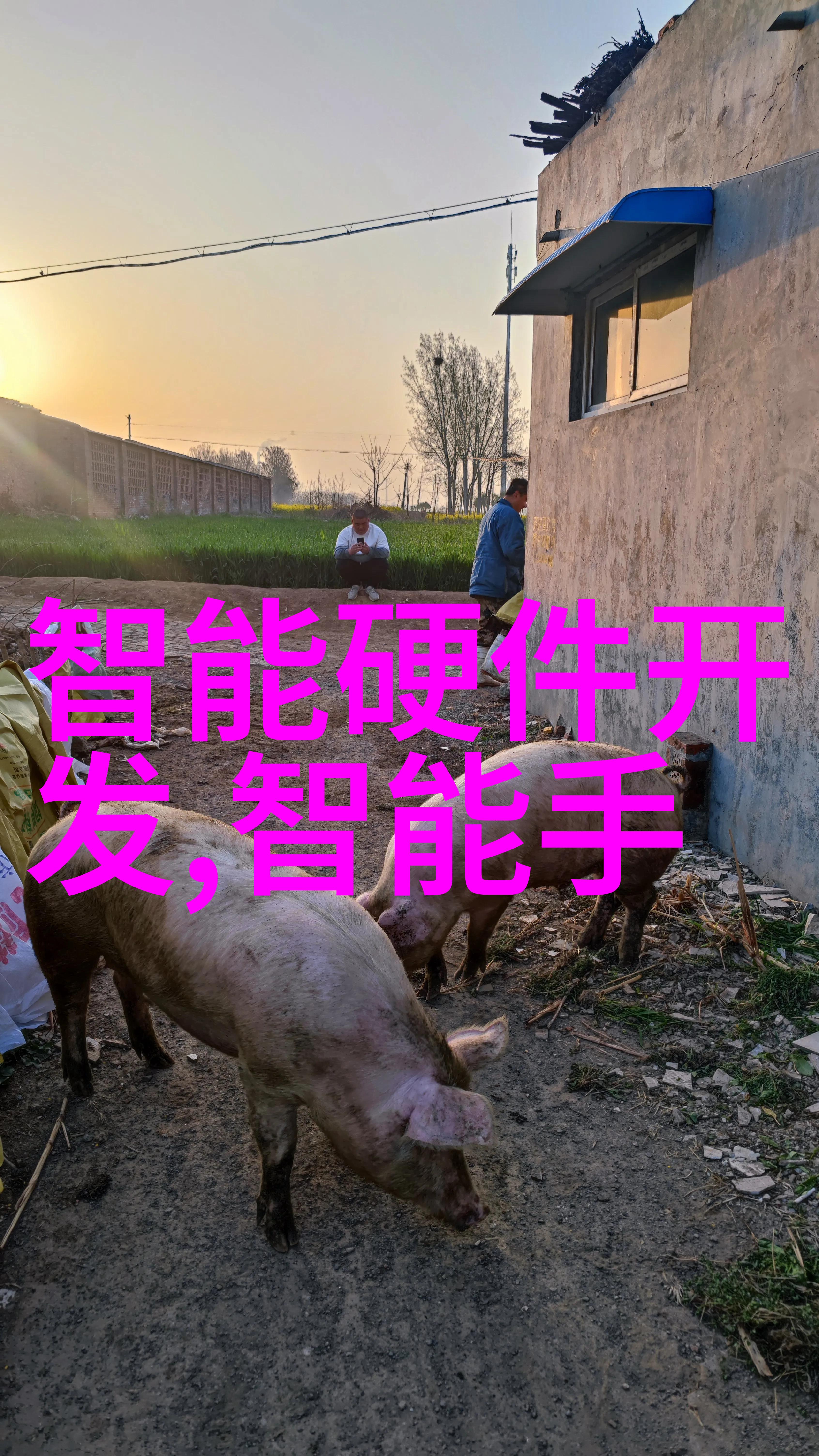 下小神的Hz探秘揭秘J笔趣阁之谜