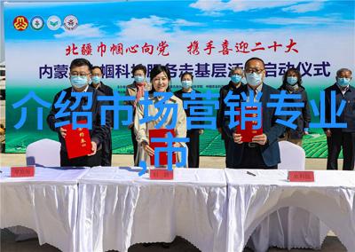 探秘凤隐天下揭秘神秘txt世界的迷人魅力与下载指南