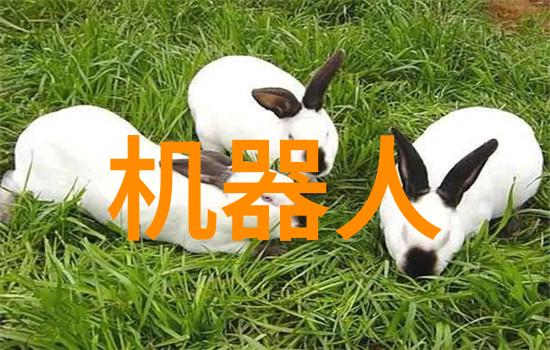 成都职业技术学院-技能培训与创新实践的双赢之地