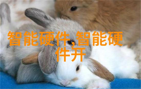 上海分离机城市交通的智能解决方案