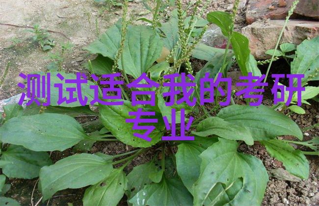 我的家用制冷设备为什么总是这样耗电