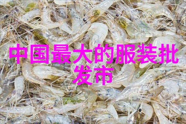 机器视觉网-探索机器视觉技术的无限可能