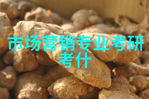 编程语言与算法的巧妙融合计算机科学与技术的创新之旅