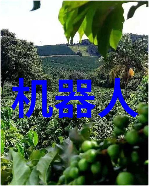 机器的心脏分离机的构成与功能