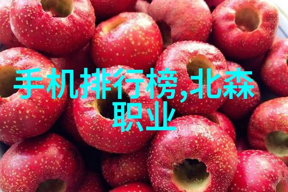 材料汇报艺术精湛的格式模板与生动的范文示例