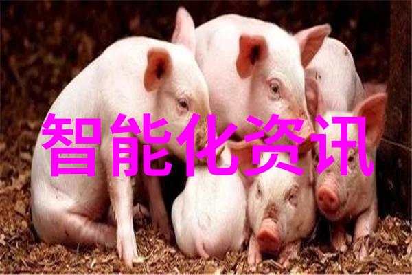 随着时间推移人工智能还能持续适应新任务和需求吗
