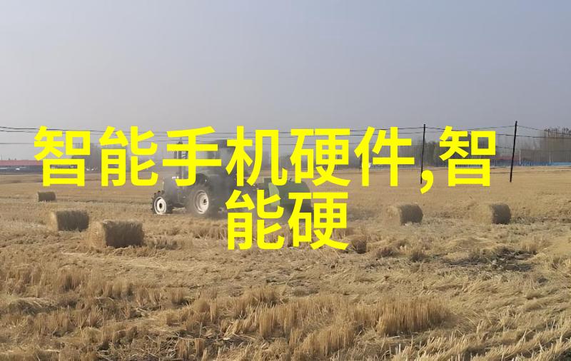 超级本地化技术如何影响我们的日常生活