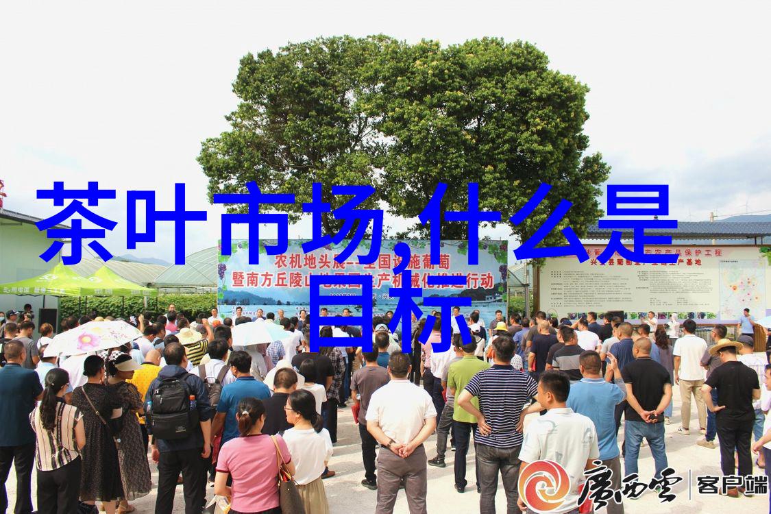 穿戴式设备它们究竟在你的身体上装载了什么
