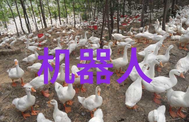 环境影响评价不可忽视的环节在可行技术选型中