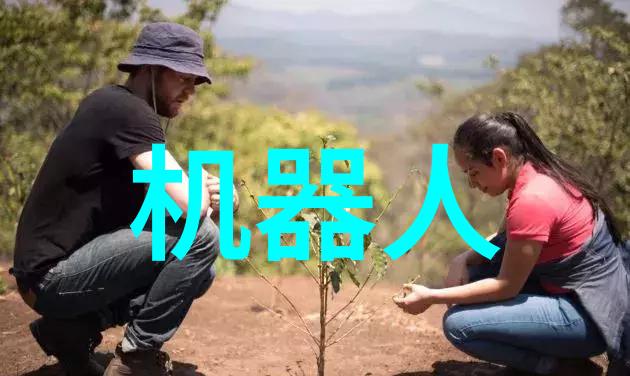 高性能芯片解决方案提供商专注于创新的半导体技术和产品开发