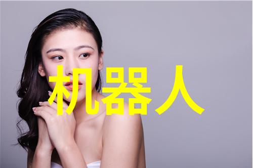 国安防线安全网的证章