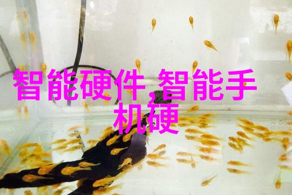 专题报告数字化转型的未来趋势与策略分析