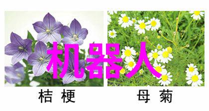 揭开十大变态心理测试题背后的真相