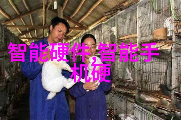 科技分析-华为芯片危机供应链断裂与国际政治的双重打击