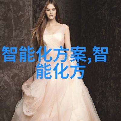 家用小型热风干燥器简易食物保存方法