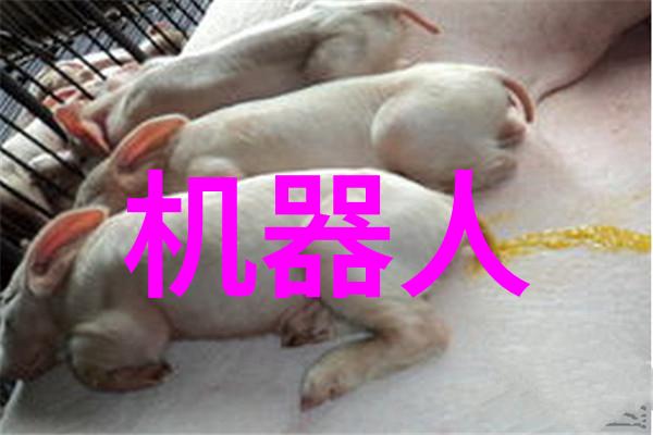 智能环保装备技术我是如何用科技让家里的垃圾分类变得简单又高效的