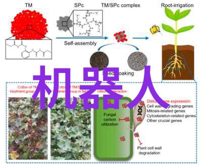 案例分析成功应用案例中的各种类型的高度制备方法和装置及其对比分析