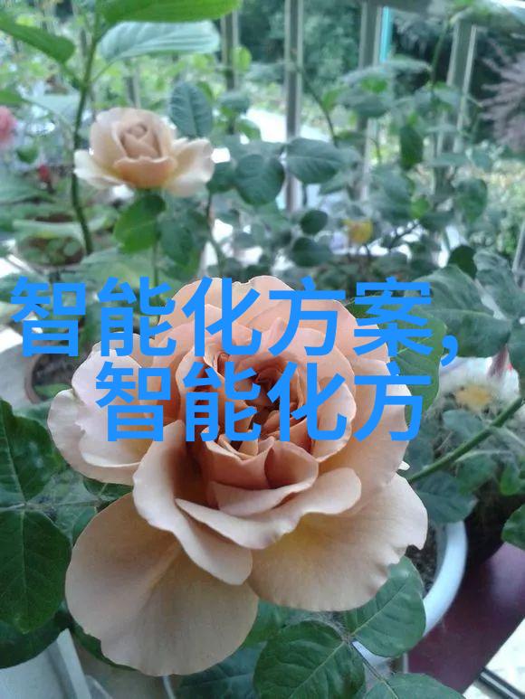 双喜临门好事成双txt的故事背后