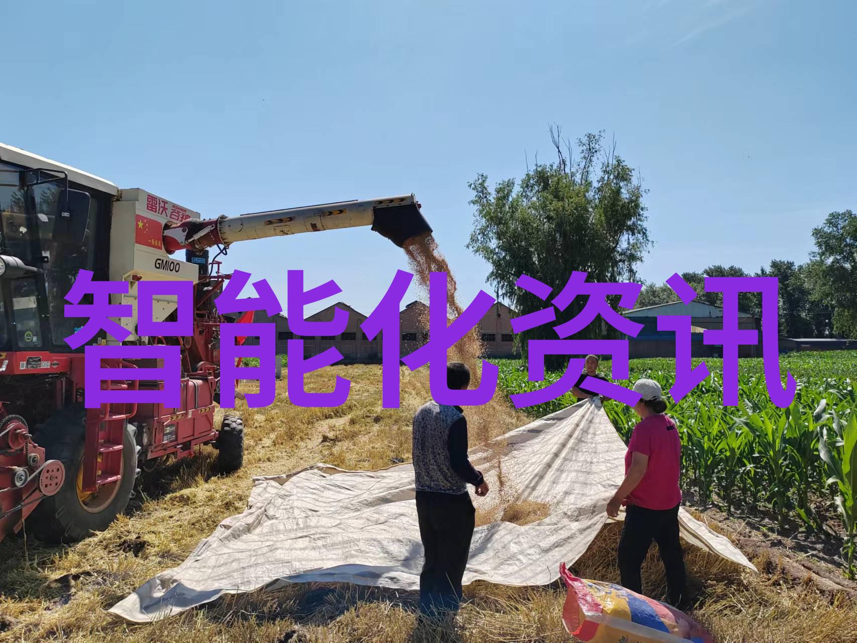 内蒙古财经大学-草原财富的智慧传承内蒙古财经大学的学术与创新