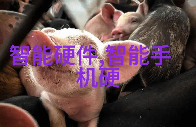 沙石分离机细节与效率的完美融合
