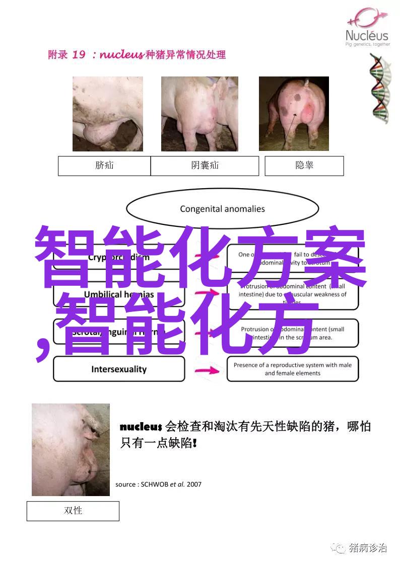 振动电机的应用与未来发展前景
