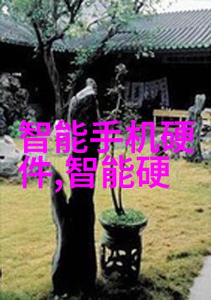 个人化服务是如何通过可穿earable 设备实现的