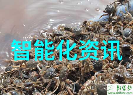 探秘最新一代全新的平板电脑新品亮相带来革命性的用户体验与创新功能
