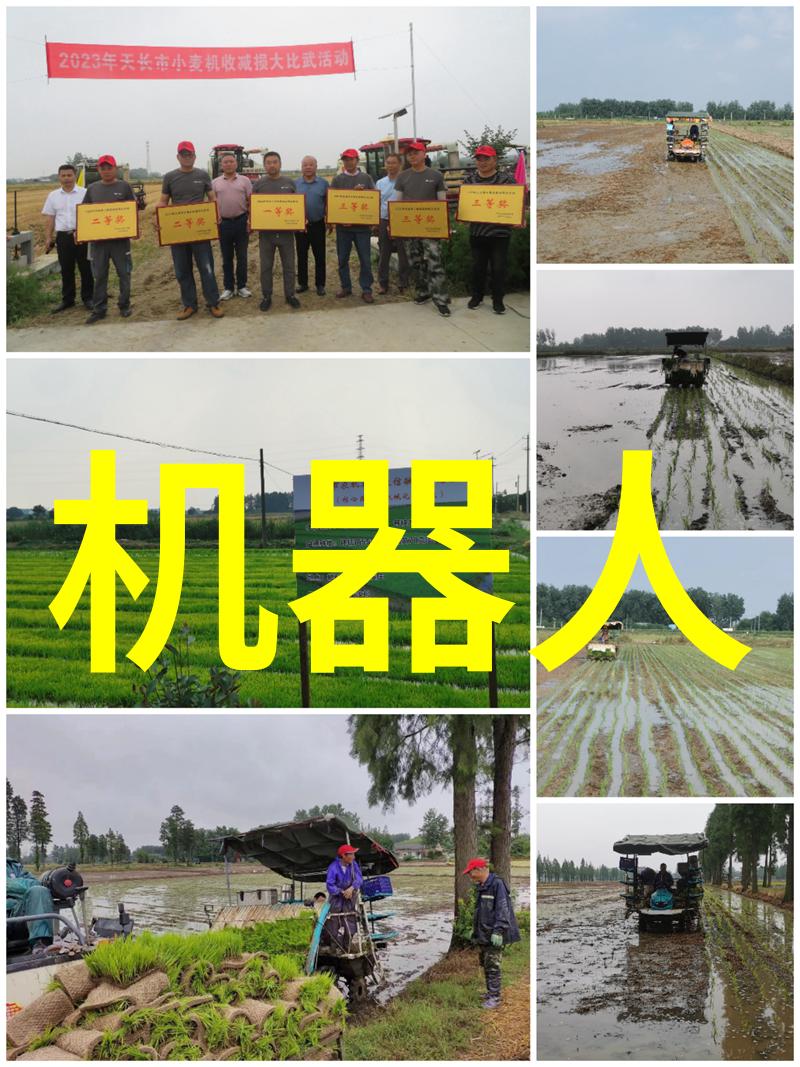 肺炎预警指标探究三个关键征兆的临床意义与诊断价值