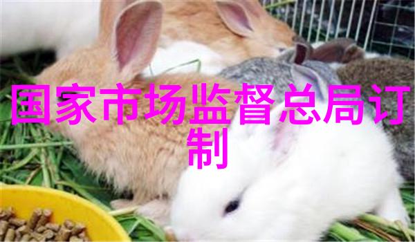 工业设备-1吨燃气蒸汽发生器的工作原理与应用概述