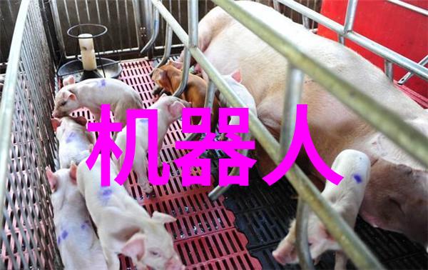 一次成型制砂机-高效节能的新型建筑材料生产技术