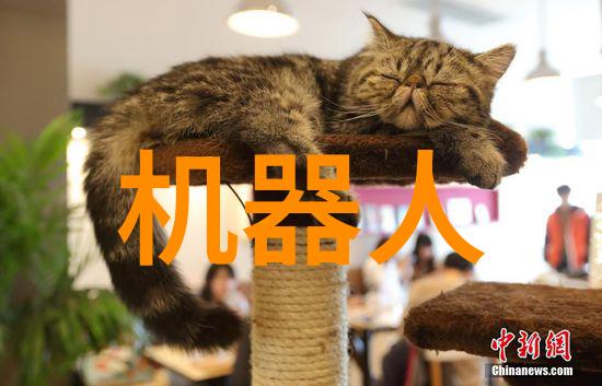 尘缘交织追寻工厂之尘的吸引力
