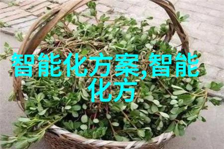 穿越时空的袖珍探索者可穿戴设备的未来究竟是什么样
