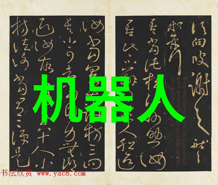 党性分析报告智慧养老新篇章王凤与30年老经验的对话