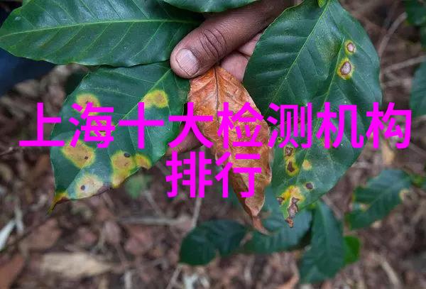 主题-上级单位申请报告的艺术如何表达工作成果与需求