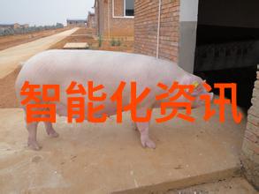 从小到大的智能成长八大测试量表的应用