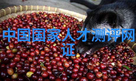 邯郸职业技术学院教育精髓高效教学与实践相结合