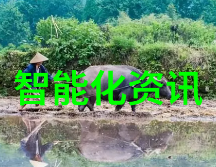 输送带接头的关键在于强度与可靠性