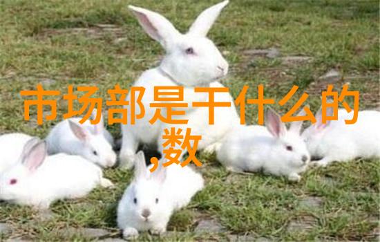 空压机系统优化提高效率减少损耗利用油气分离器