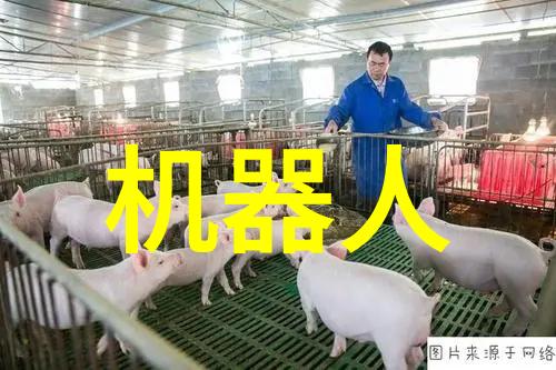 全国艺术测评认证中心官网引领艺术质量标准的提升