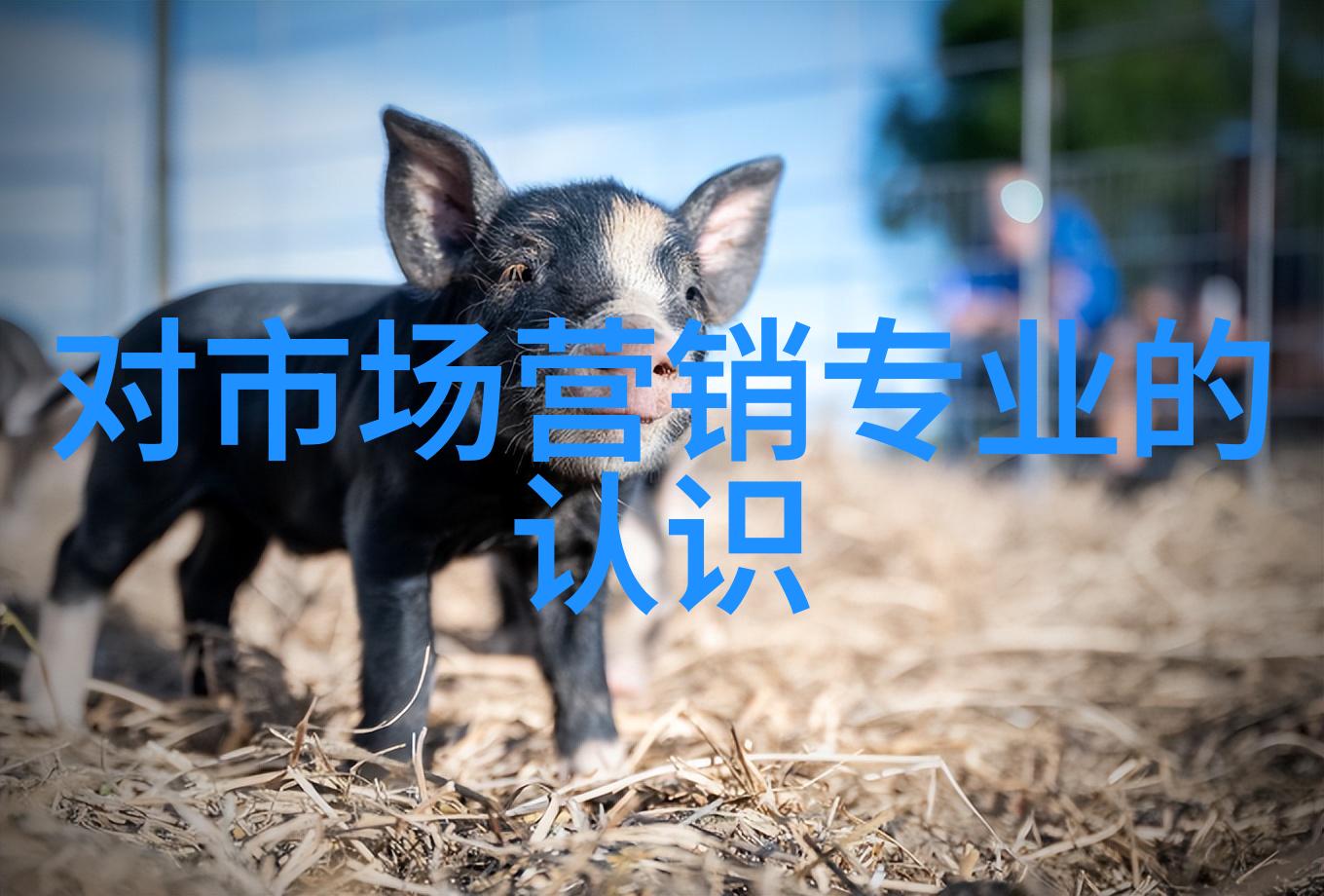 我的述职报告从懵懂到不懵学会了怎样在公司里秀出自己的闪光点