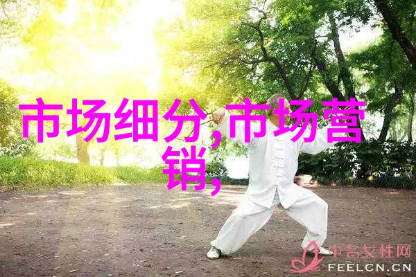 项目启动前瞻探索可行性的策略与方法