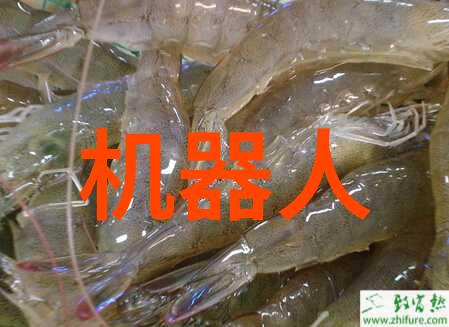 智能生活全解析从智能手机到家居设备智能设备有哪些产品让你不可或缺