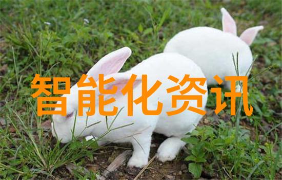 智能设备方案智能家居设备实用技巧