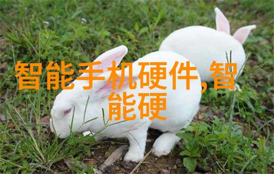 小鹏汇天展望飞行汽车未来从观光到城市立体交通发展之路预计15-20年