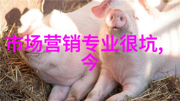 青岛职业技术学院培育未来技能型人才的桥梁与枢纽